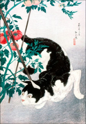 Cat with Tomato Plant, Hiroaki Takahashi - plakat 50x70 cm