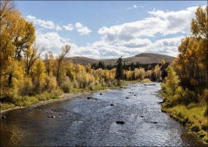 Colorado River, near Parshall, Carol Highsmith - plakat 59,4x42 cm