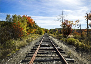 Fall along the railroad tracks in Bangor, Maine., Carol Highsmith - plakat