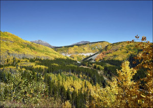 Fall aspens in San Juan County, Carol Highsmith - plakat 29,7x21 cm
