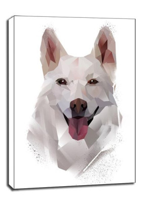 husky - obraz na płótnie 70x100 cm