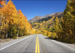 Fall aspens in San Juan County, Colorado USA, Carol Highsmith - plakat 30x2