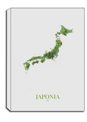 Japonia, mapa - obraz na płótnie 50x70 cm