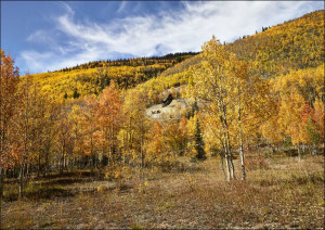 Fall aspens in San Juan County, Colorado., Carol Highsmith - plakat 84,1x59