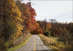 Fall scene in Upshur County, West Virginia, Carol Highsmith - plakat 40x30