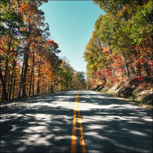 Fall scene near Babcock State Park in Fayette County, West Virginia., Carol