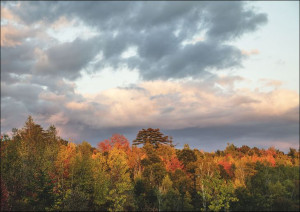 Fall scene near Veazie, Maine., Carol Highsmith - plakat 59,4x42 cm