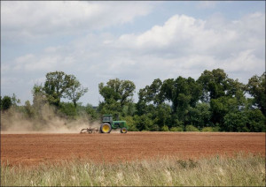 Farmland in Monroe County, Alabama, Carol Highsmith - plakat 59,4x42 cm