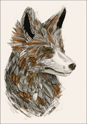 Feathered Fox 2 - plakat 70x100 cm