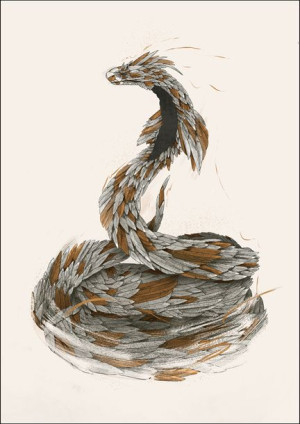 Feathered Shake 2 - plakat 70x100 cm