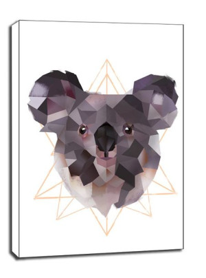 koala białe tło - obraz na płótnie 61x91,5 cm