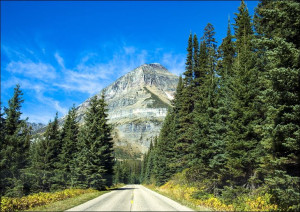 Glacier National Park, Montana., Carol Highsmith - plakat 30x20 cm