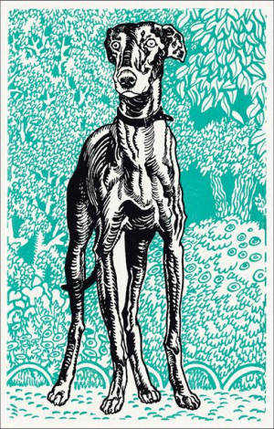 Greyhound, Moriz Jung - plakat 21x29,7 cm