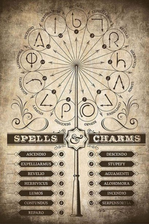 Harry Potter Czary i Zaklęcia - plakat 61x91,5 cm