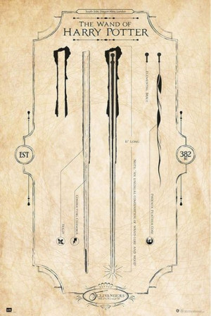 Harry Potter Różdżka Harryego - plakat 61x91,5 cm