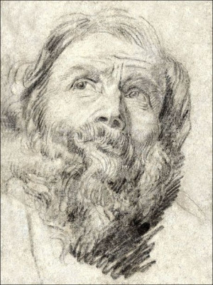 Head of an Apostle, Anthony van Dyck - plakat 30x40 cm