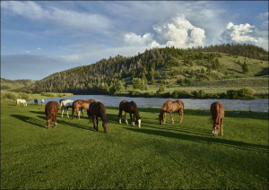 Horses graze in the pasture at the A Bar A guest ranch, near Riverside, Wyo