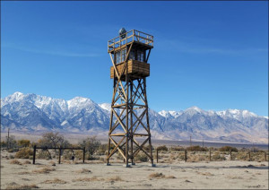 In 1942, the United States government ordered more than 110,000 men, women,