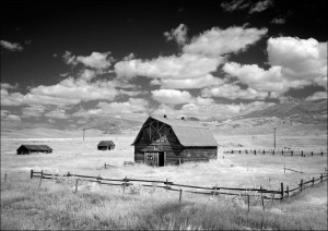 Infrared view of barn in rural Montana, USA., Carol Highsmith - plakat 29,7