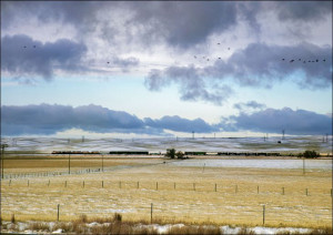 Long train in Southern Michigan, Carol Highsmith - plakat 40x30 cm