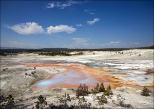 Mudpots and hot springs color the terrain in northwestern Wyoming’s Yellows