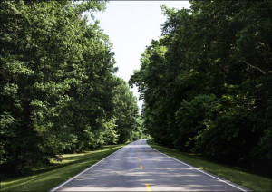 Natchez Trace parkway in Florence, Alabama, Carol Highsmith - plakat 30x20