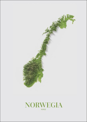 Norwegia, mapa - plakat 61x91,5 cm