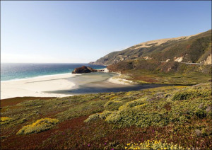 Pacific Coast Highway Scenic., Carol Highsmith - plakat 60x40 cm