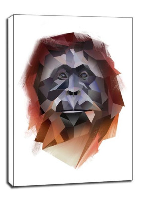 orangutan - obraz na płótnie 70x100 cm