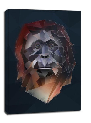 orangutan tło - obraz na płótnie 20x30 cm