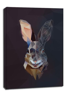 rabbit tło - obraz na płótnie 40x60 cm