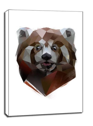 Redpanda - obraz na płótnie 60x80 cm