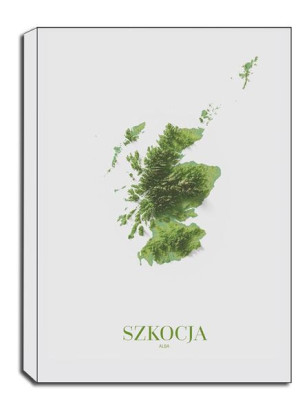 Szkocja, mapa - obraz na płótnie 50x70 cm