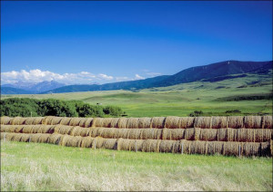 Plenty of hay for the winter at this farm in eastern Montana, Carol Highsmi