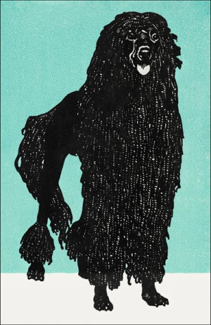 Poodle, Moriz Jung - plakat 50x70 cm