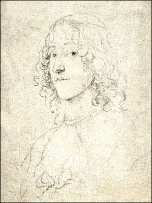 Portrait Study, Anthony van Dyck - plakat 40x60 cm