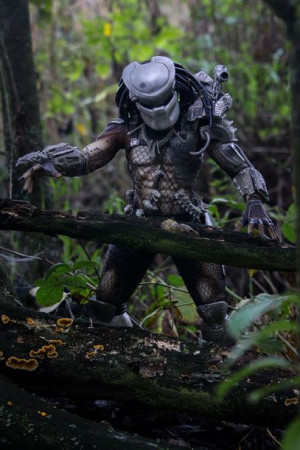 Predator - plakat 61x91,5 cm