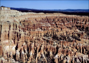 Procession of ’hoodoo’ formations in Bryce Canyon National Park., Carol Hig