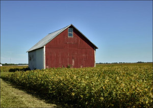 Red barn in a field., Carol Highsmith - plakat 60x40 cm
