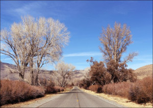 Road in California., Carol Highsmith - plakat 60x40 cm
