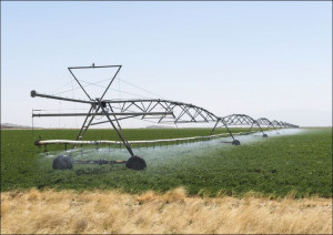 Rolling irrigation sprinkler at work along the road carrying U.S. Highways