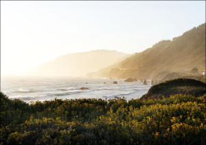 Route 1 along the Pacific Ocean in Northern California., Carol Highsmith -