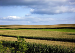 Rural Wisconsin., Carol Highsmith - plakat 40x30 cm