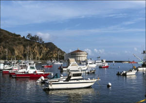 Santa Catalina Island, often called Catalina Island, or just Catalina, is a