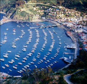 Santa Catalina Island, often called Catalina Island, or just Catalina, is a