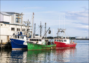 Scene at the busy harbor on Casco Bay in Portland, Maine., Carol Highsmith