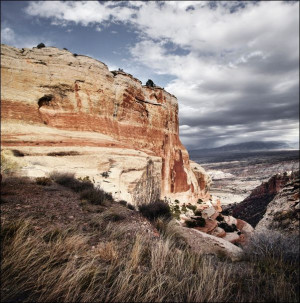 Scenery at Colorado National Monument, Carol Highsmith - plakat 50x50 cm