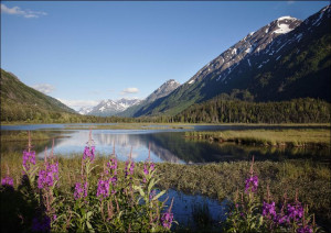 Scenic view from the Seward Highway in the Chugach National Forest, Carol H