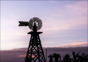 Silhouetted windmill in Texas., Carol Highsmith - plakat 60x40 cm