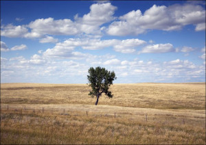 South Dakota rural scene, Carol Highsmith - plakat 80x60 cm